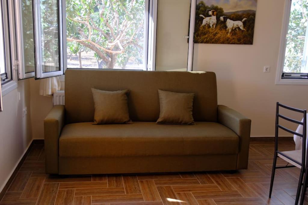 הוילה Aegina Nick'S House מראה חיצוני תמונה