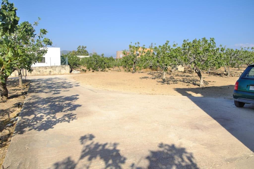 הוילה Aegina Nick'S House מראה חיצוני תמונה