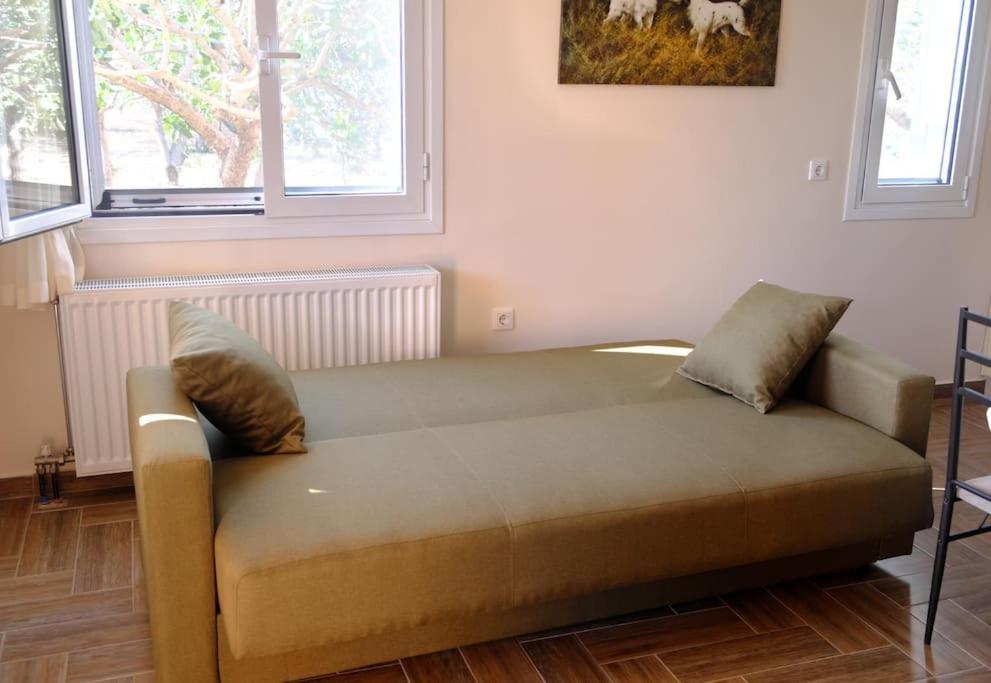 הוילה Aegina Nick'S House מראה חיצוני תמונה
