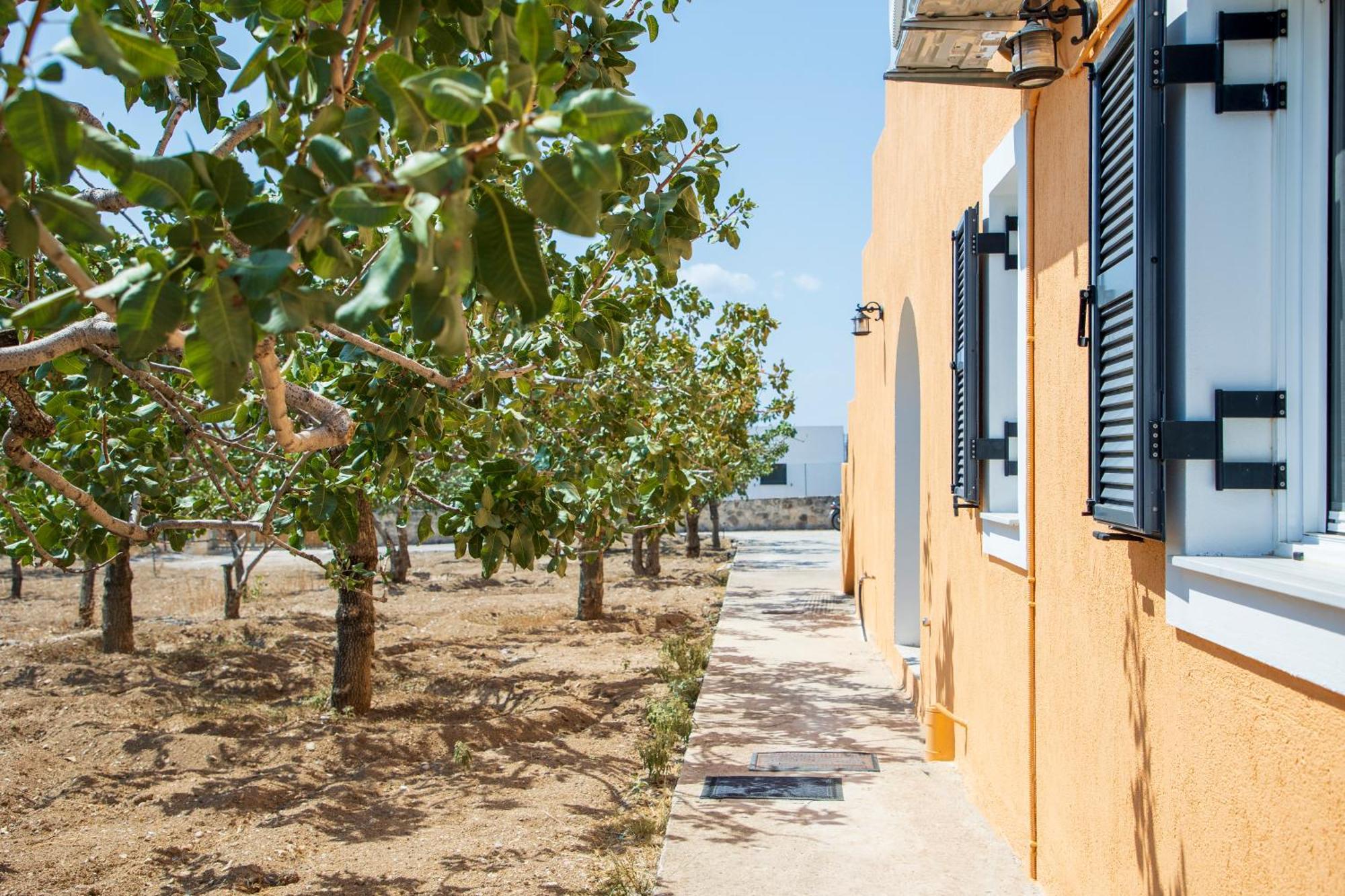 הוילה Aegina Nick'S House מראה חיצוני תמונה